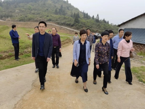 莲花县人民政府 乡镇动态 市人大常委会副主任李江萍"