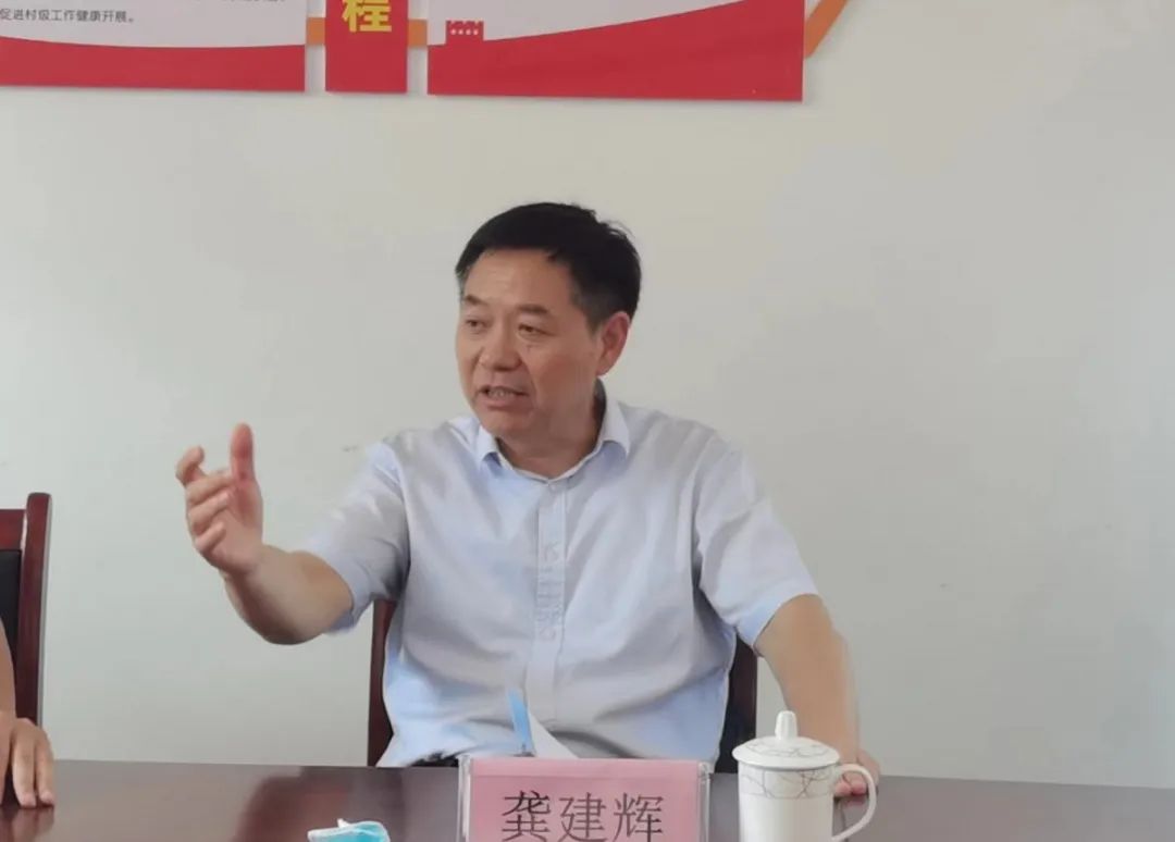 省红十字会党组书记常务副会长龚建辉一行深入升坊镇石江村调研乡村